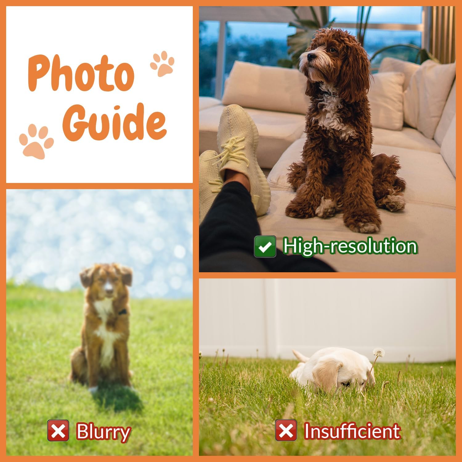 Aangepaste foto Pet Home-kusse - Home Textiles Images recensie en prijs